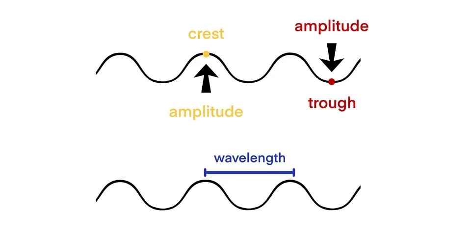 Waves in Physics, longitudinal and transverse motions Stock Illustration