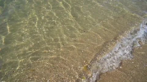 Waves Playing With Shells Stock Footage 192465576