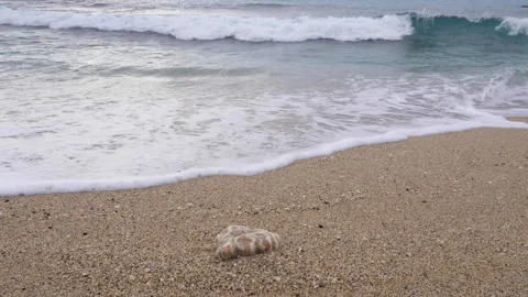 Waves at Pointe de la plage Trois Roches, Reunion Island 4K 60p realtime audio Stock Footage 292405934