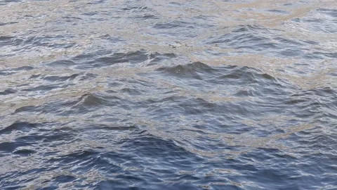The waves in the pond are moving. Water. Water texture. Stock Footage 157492997