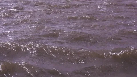 Waves in the port of Enkhuizen. Stock Footage 120627363