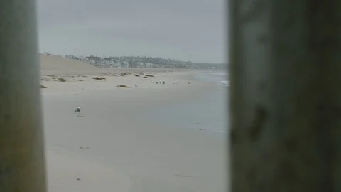 Waves pushing up onto a beach with seagulls Stock Footage 106629578