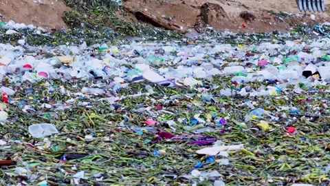 Waves pushing floating plastic trash and lilies to a tropical beach Stock Footage 243083278