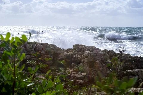 Waves of the raging sea. Stock Photos