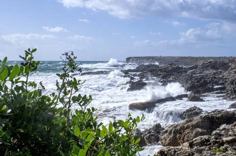 Waves of the raging sea. 库存照片