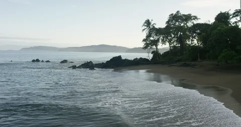 Waves reaching the coast and green trees on the beach Stock Footage 96472095