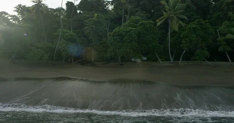 Waves reaching the coast and green trees on the beach Stock Footage 96472445