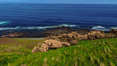 Waves reaching rocky shore below grassy slope with gorse bushes. Ocean meeting Stock Footage 311816853