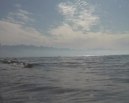 Waves on Red sea Video stock 341648