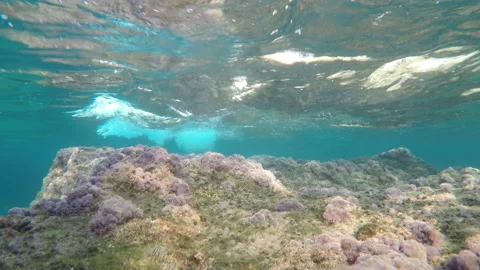 Waves on reef of coast Stock Footage 130432127