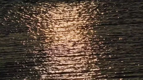 Waves reflecting the morning sun Stock Footage 234282114