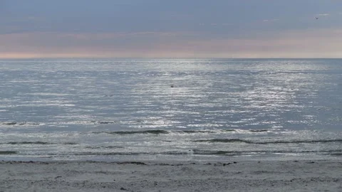 Waves rinse to the beach on the baltic sea Video stock 142590950