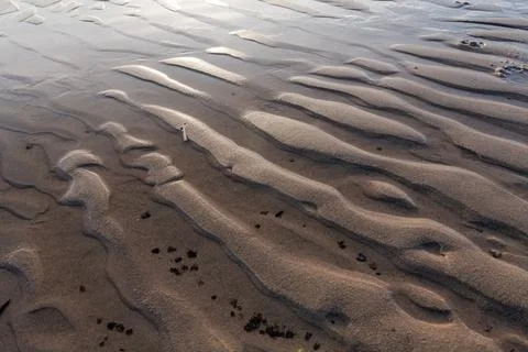 Waves ripple patterns on serene sandy beach at low tide, showcasing nature'.. Foto stock