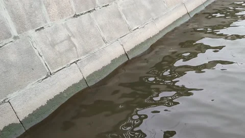 The waves of the river are beating against the concrete shore Stock Footage 178506756