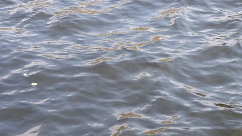 The waves in the river are moving. Water. Water texture. Stock Footage 157642729