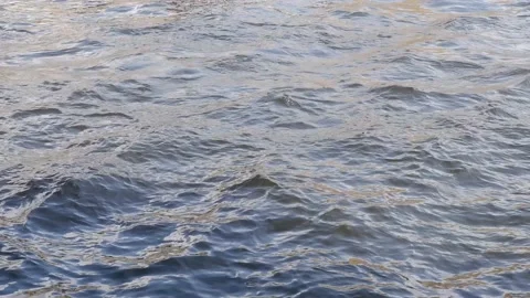 The waves in the river are moving. Water. Water texture. Stock Footage 157766227