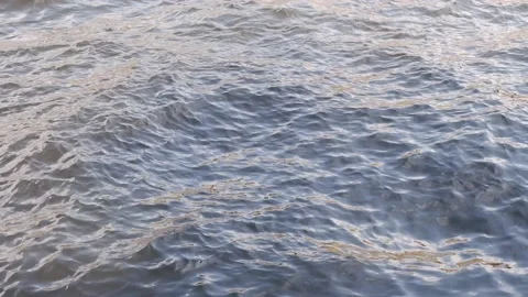 The waves in the river are moving. Water. Water texture. Stock Footage 157881070