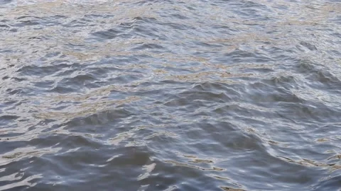 The waves in the river are moving. Water. Water texture. Stock Footage 157930420