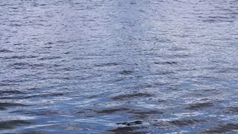The waves in the river are moving. Water. Water texture. Stock Footage 158016547