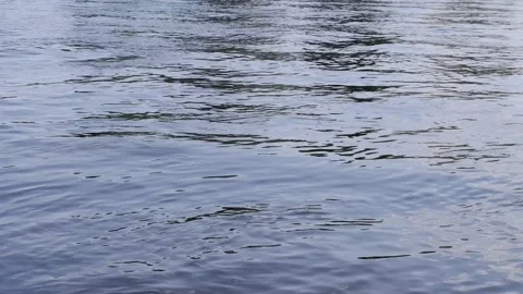 The waves in the river are moving. Water. Water texture. Stock Footage 158985254