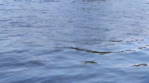 The waves in the river are moving. Water. Water texture. Video stock 159663311