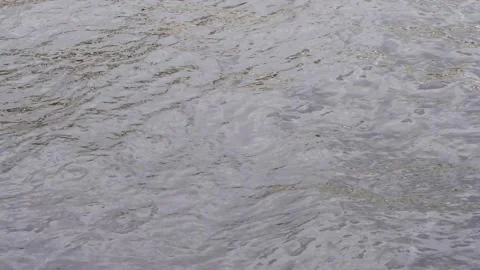 The waves in the river are moving. Water. Water texture. Video stock 160206720