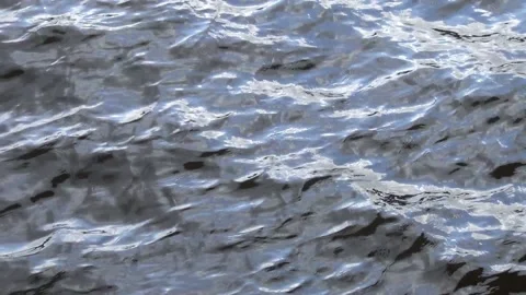 The waves on the river are painted by nature in beautifully combined colors Stock Footage 136673400
