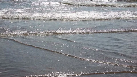 Waves in the river in the back lit, natural background Stock Footage 91242079