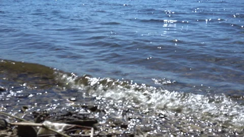 Waves at the river bank close-up 스톡 동영상 110766776