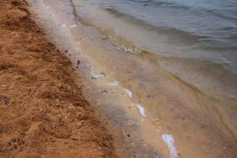Waves on the river. An Empty sandy beach with animals and people footprints Stock Photos