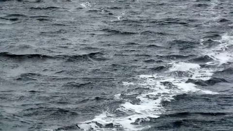 Waves on the river Video stock 80025113