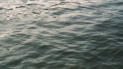 The waves on the river Stock Footage 277102487