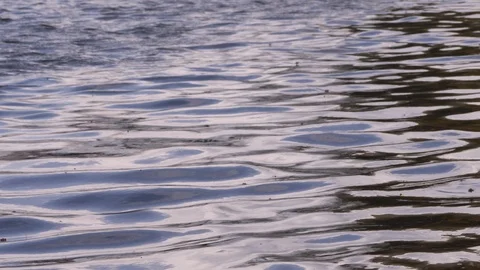 Waves of a river or a lake based in a city park in slow motion close up view 4K Stock Footage 106510669