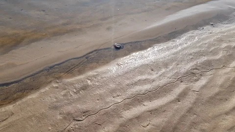 Waves of the river at the sandy shore Stock Footage 108267153