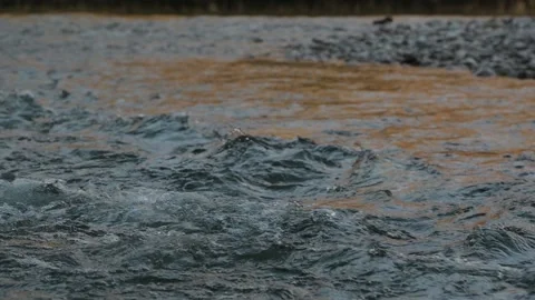 Waves on the river steyr on a cold morning in february Stock Footage 148780018