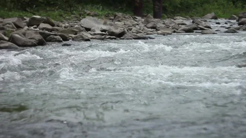 Waves of river stream. Fast flow of water. Clear mountain river. Stones and fore Video stock 130857029