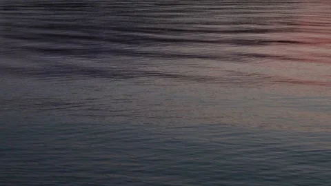 Waves on the river at summer sunset. Stock Footage 147615528