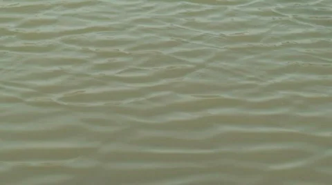 Waves in river water Video stock 91789