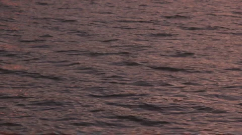 Waves on the river water on the sunset light Stock Footage 923993