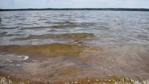 Waves from the River wind in the Stock Footage 111517909