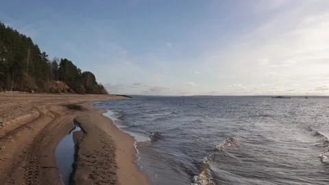 Waves on the river on a windy day, sandy beach and pine forest near the shore Stock Footage 291652283