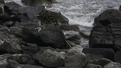 Waves on rocks in Acitrezza sicily Video stock 73302242
