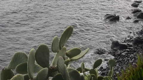 Waves on rocks in Acitrezza sicily Video stock 73302369