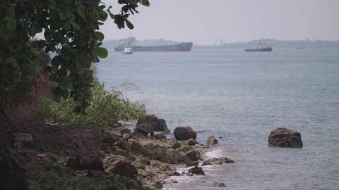 Waves Rocks and Plants by the beach with large ship passing in background in Video stock 229828342