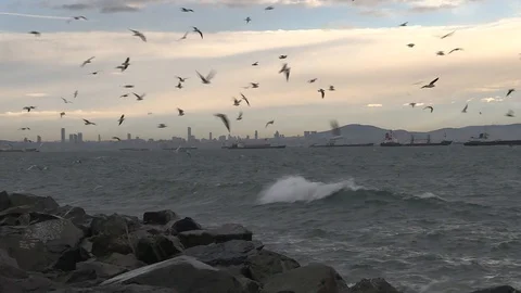 Waves on the rocks Video stock 114582103