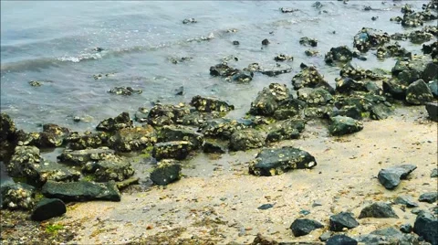 Waves on a Rocky Beach Stock Footage 51801548