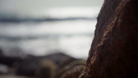 Waves on the rocky shore Stock Footage 98058412