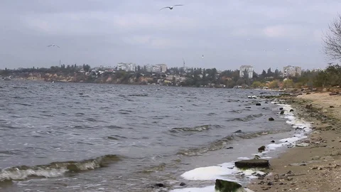 Waves roll on the bank of the river and beat stones with foam Stock-Footage 118744726