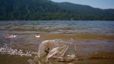 Waves roll over discarded plastic bottle near forested coastline Stock Footage 335813886