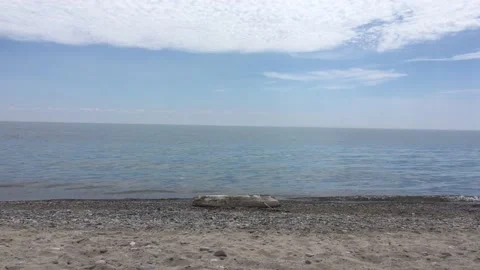 Waves roll in over log Darlington Provincial Park 4K Stock Footage 143157997